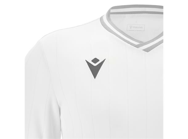 596491